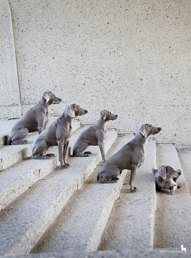 ccb74166b0402992b015764e212068d7