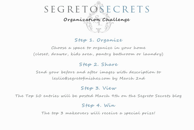 organizationgraphic_003