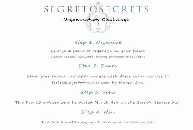 organizationgraphic_003