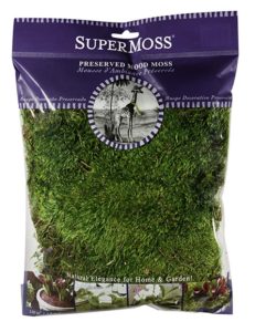 Segreto Finishes Super Moss Segreto Finishes Super Moss
