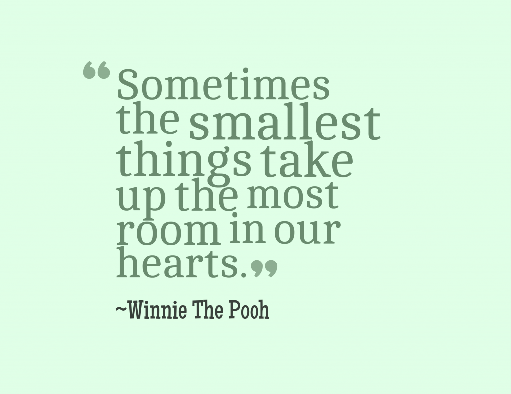 Winnie the Pooh Quote