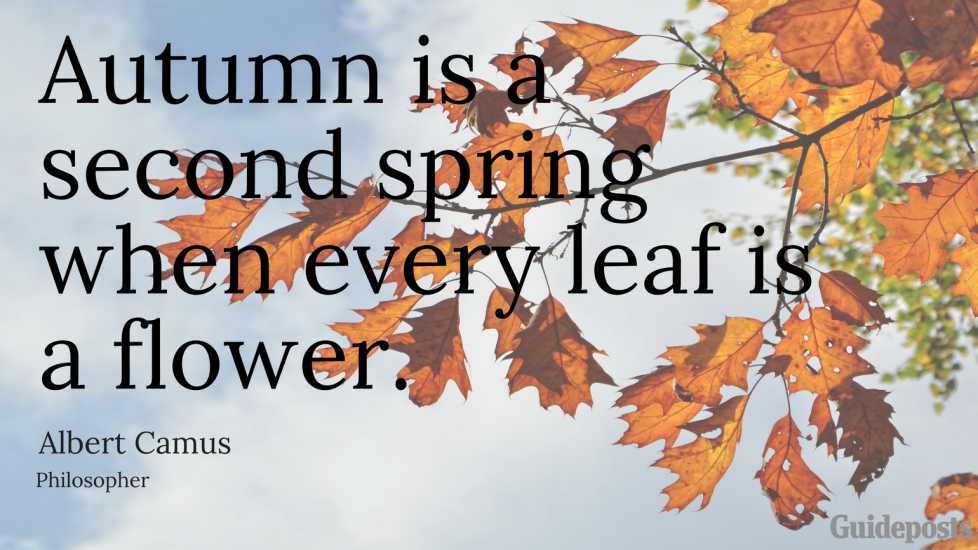 Autumn quote