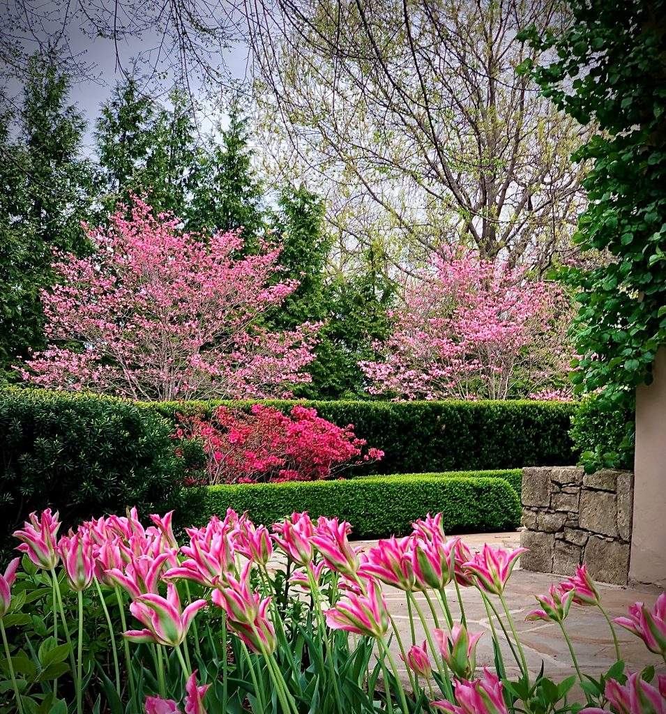 Landscaping by Reed Dillon & Associates