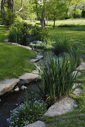 Landscaping by Reed Dillon & Associates