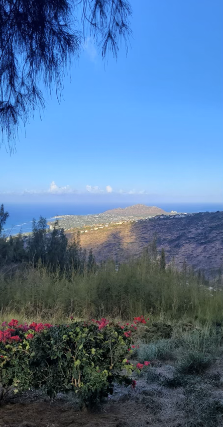 Segreto Finishes in Hawaii