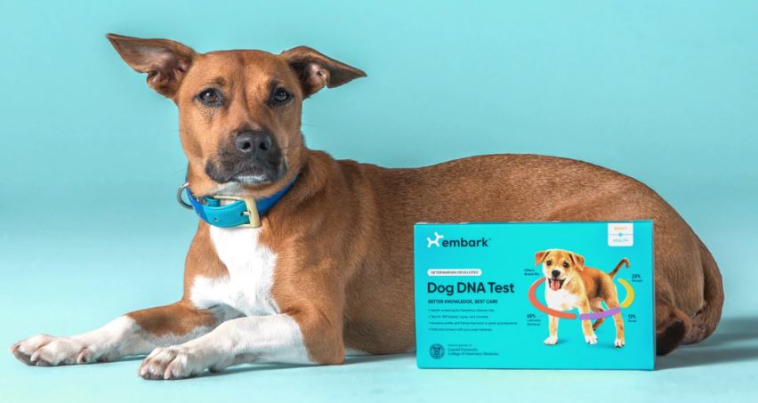 Embark Dog DNA Test Kit
