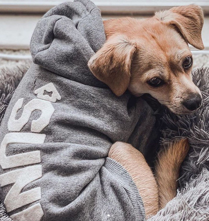 Customizable Dog Hoodie